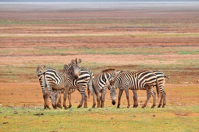 MIKUMI NATIONAL PARK - 3 Days - Pickup, private groups, and one important booking warning