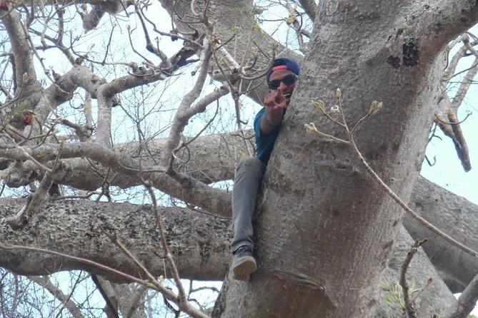 MIKUMI NATIONAL PARK - 3 Days - Who should book this three-day safari