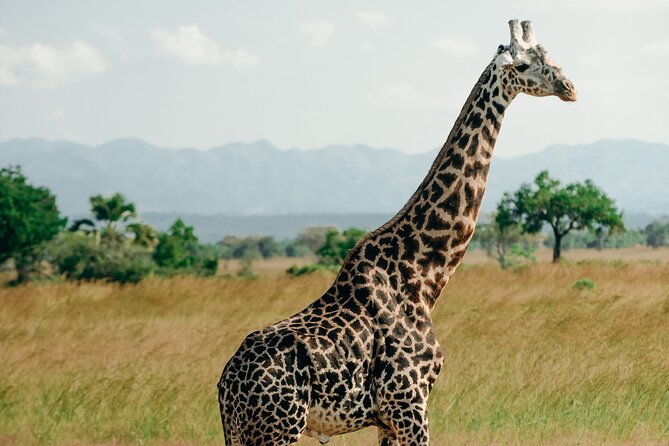 Mikumi National Park And Udzungwa Mountains National Park From Morogoro 2 Days - Practical details that affect the day