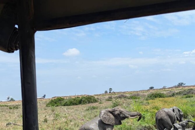Mikumi National Park Day Trip by Train From Dar Es Salaam - What the long schedule means for you