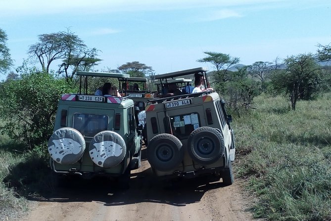 Mikumi national park full day tour - The 4:00 am pickup sets the pace