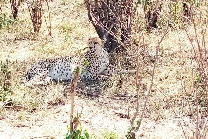 Mikumi national park full day tour from Dar es sallam - The 5am departure and the road to the park