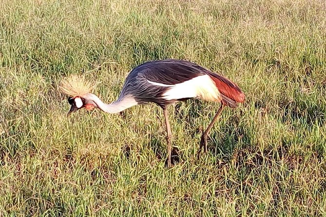 Mikumi national park full day tour - The road to Mikumi is part of the experience
