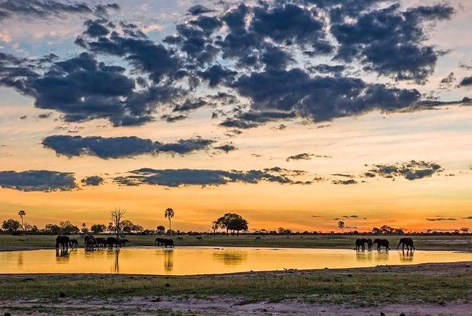 Mikumi National Park in a Day - A Day Tour from Morogoro - What the animal sightings can be like