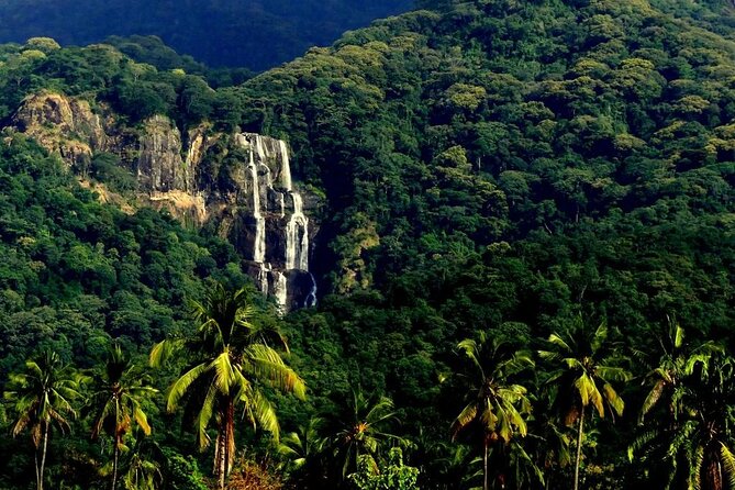 Mikumi National Park & Udzungwa Water Falls 3 Days Group Tour - Key points at a glance