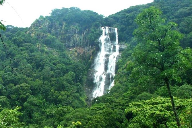 Mikumi National Park & Udzungwa Water Falls 3 Days Group Tour - Why this three-day pairing works