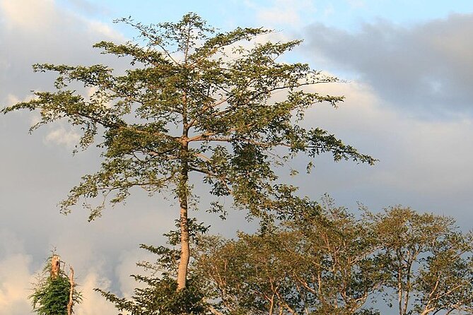 Mikumi National Park & Udzungwa Water Falls 3 Days Group Tour - What to pack for the three days