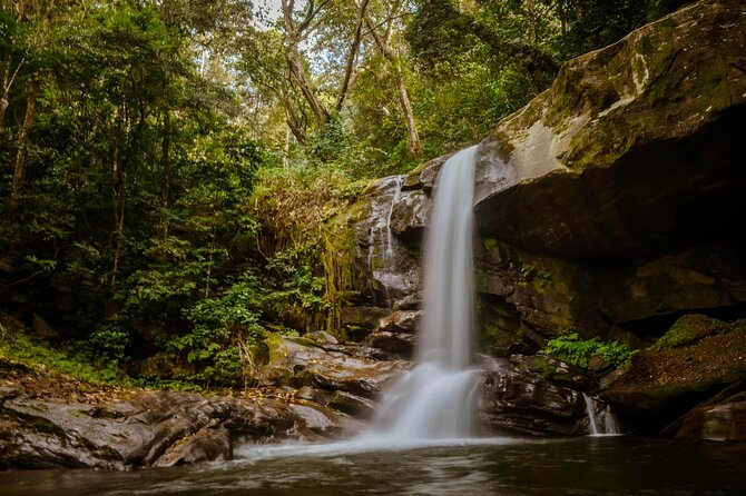 Mikumi National Park & Udzungwa Water Falls 3 Days Group Tour - Day one: the long road to Mikumi