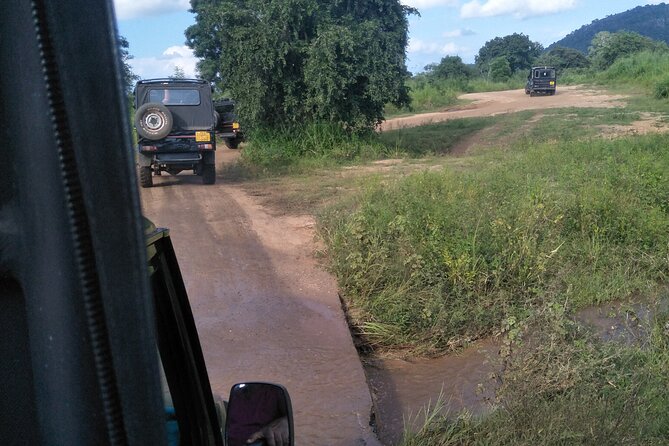 Minneriya / Kaudulla National Park Jeep Safari - Why the Minneriya and Kaudulla area matters