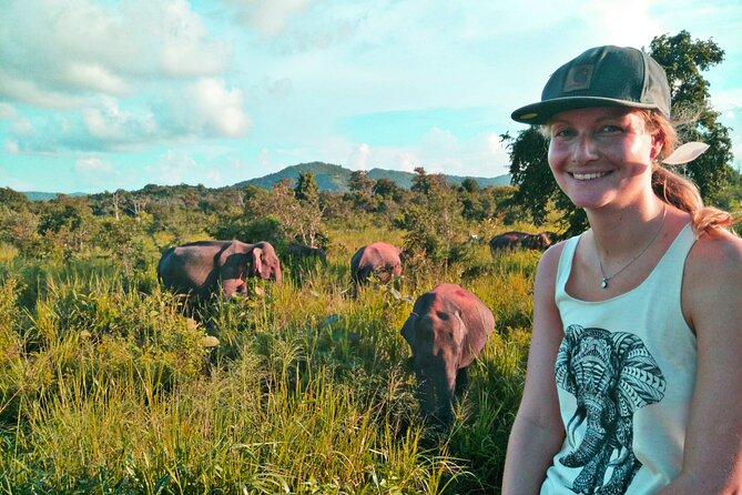 Minneriya / Kaudulla National Park Jeep Safari - Weather, cancellation, and practical planning