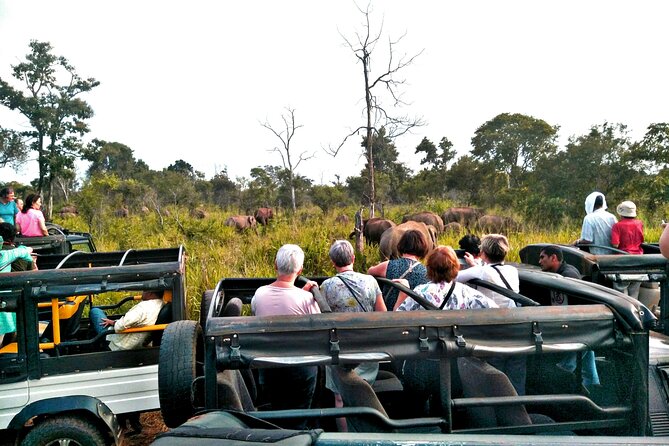 Minneriya / Kaudulla National Park Jeep Safari - Starting in Habarana at 2:30 pm