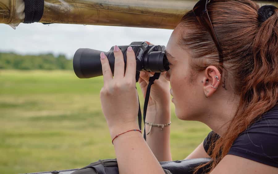 Minneriya: Minneriya National Park Private Elephant Safari - The Kaudulla option when Minneriya is crowded