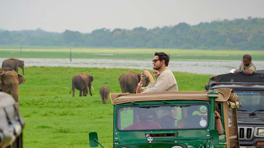 Minneriya: Minneriya National Park Private Evening Safari - Why Minneriya’s elephants are the main event