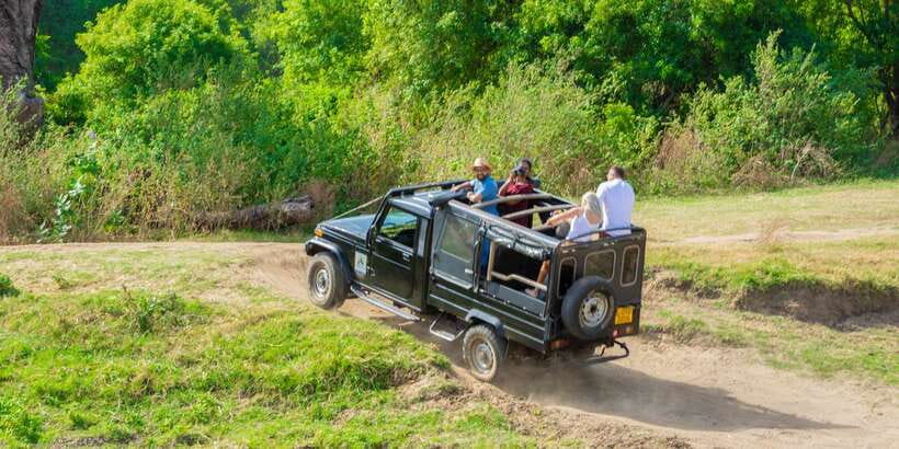 Minneriya: Minneriya National Park Private Safari - More than elephants: birds and smaller animals