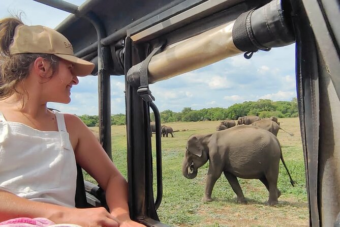 Minneriya National Park Elephant Jeep Safari Private Tour - Key points before you book