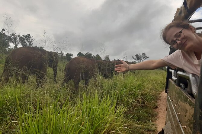 Minneriya National Park Elephant Jeep Safari Private Tour - Why Minneriya is such a good elephant stop