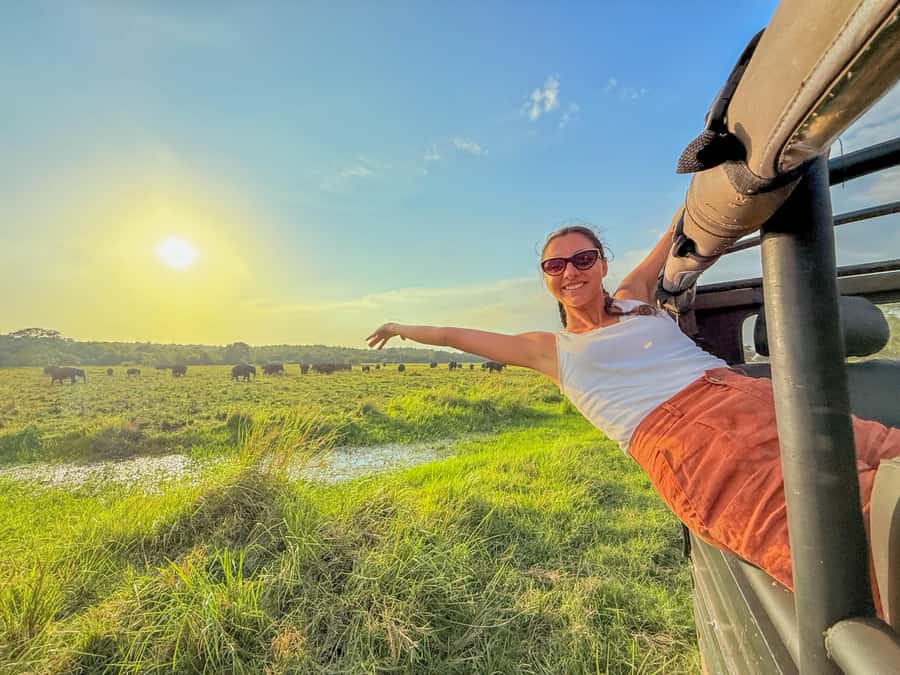 Minneriya: National Park Elephant Safari with Hotel Pickup - Key points to know before you book