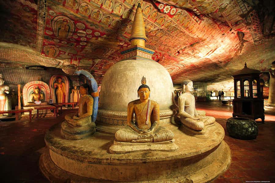Minneriya: National Park Elephant Safari with Hotel Pickup - Pickup from Dambulla, Sigiriya, or Habarana