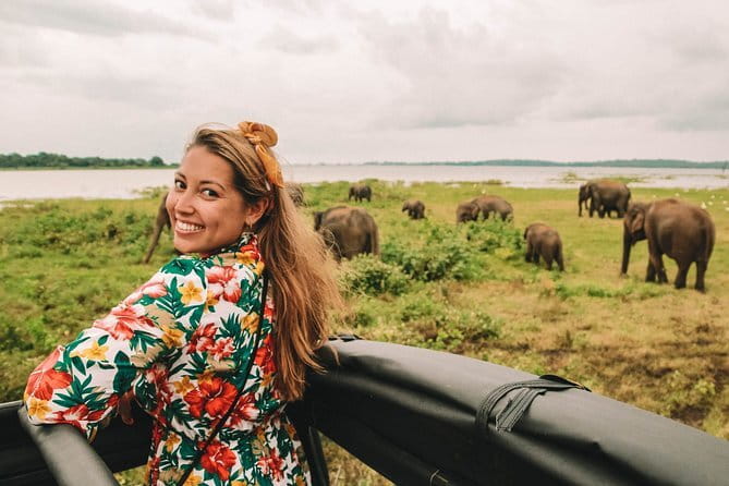 Minneriya National Park | Private Safari - Weather, season, and the risk of a quiet afternoon