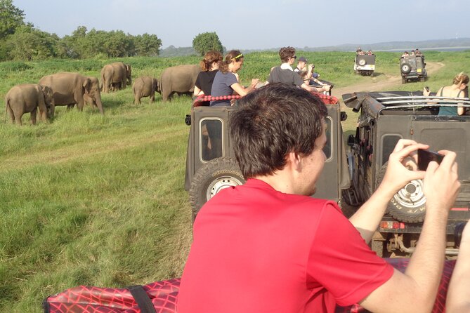 Minneriya National Park Private Safari from Habarana - Should you book this Minneriya safari?