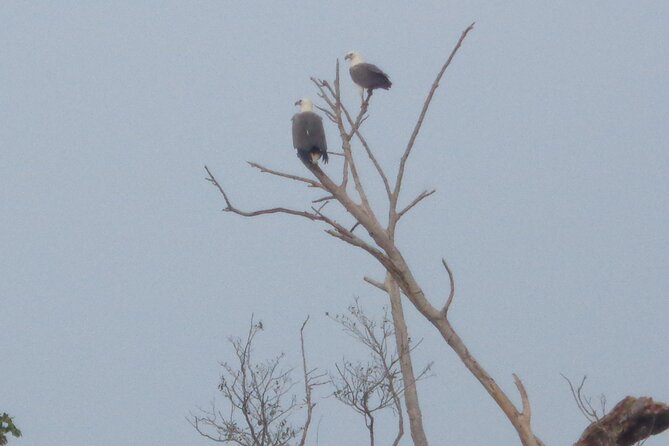 Minneriya National Park Private Safari from Habarana - A private jeep changes the feel of the safari