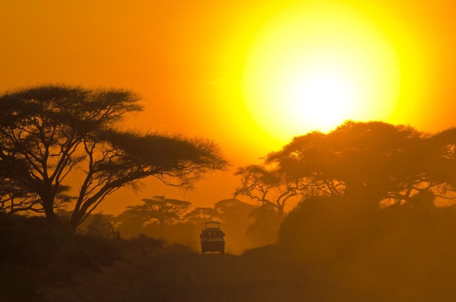 Minneriya National Park Safari in a 4x4 Vehicle - Practical Tips for a Better Three Hours