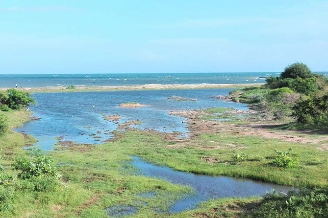 Minneriya National Park Safari | Jeep with Tickets - Why the elephants are the main event