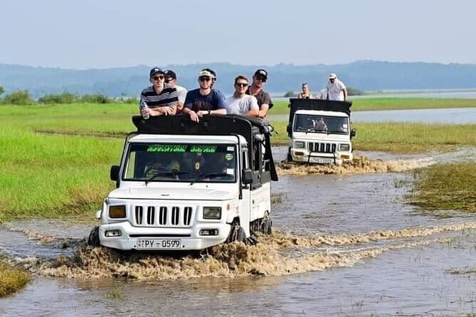 Minneriya National Park Safari - Private Jeep with Hotel Pickup - Private jeep travel and why it matters