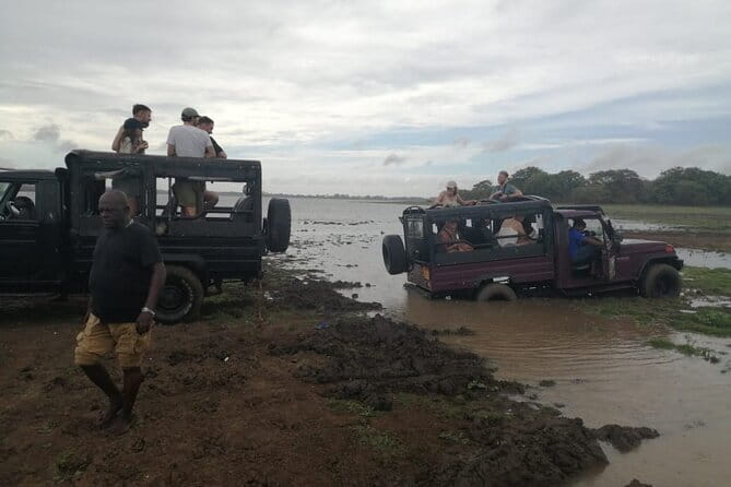 Minneriya National Park Safari - Private Jeep with Hotel Pickup - Morning or afternoon: which should you choose?