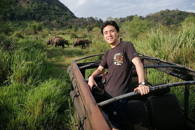 Minneriya National Park Safari - Private Jeep with Hotel Pickup - What the four-hour itinerary feels like