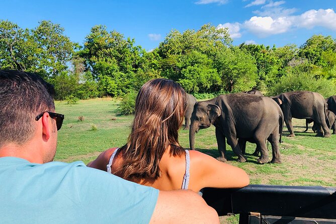 Minneriya National park Safari Sri Lanka - The $100 price and what it really covers