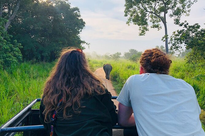 Minneriya National park Safari Sri Lanka - Who should book this safari
