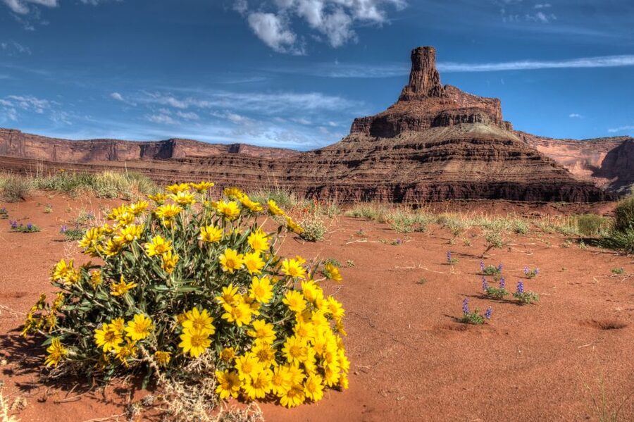 Moab: Canyonlands National Park 4x4 White Rim Tour - How to prepare for the White Rim route