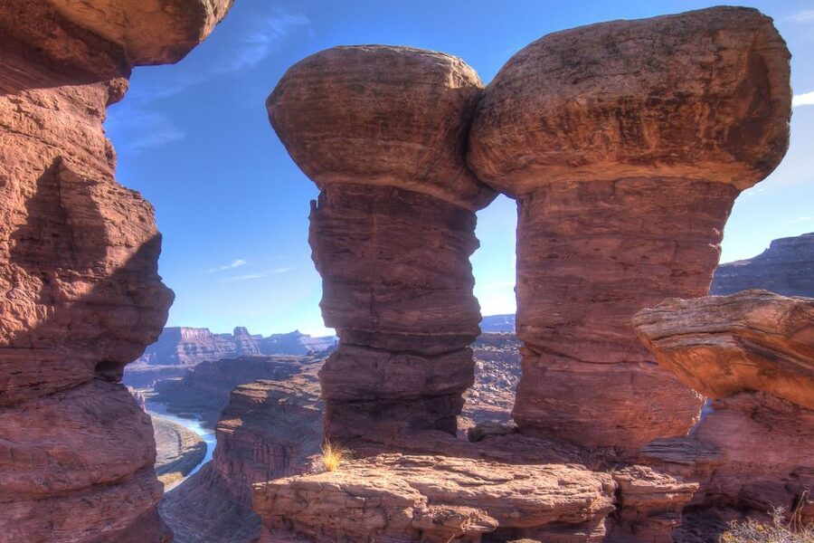 Moab: Canyonlands National Park 4x4 White Rim Tour - Rock art panels and Colorado River overlooks