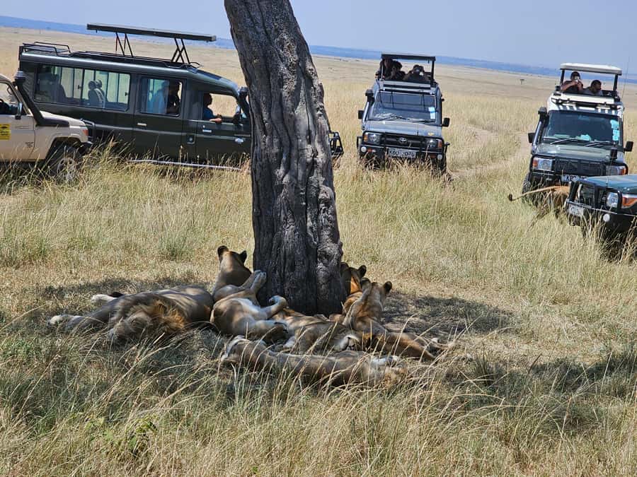 Mombasa: Tsavo East National Park Day Trip with Lunch - Leaving the Park Around 3 PM