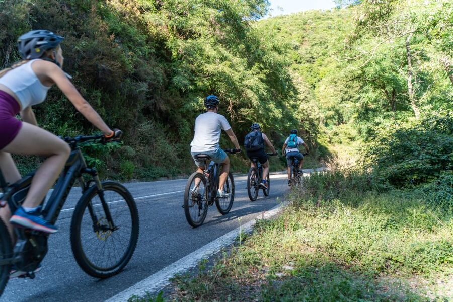 Monterosso al Mare: Cinque Terre National Park E-Bike Tour - Guides, languages, and the human side of the ride