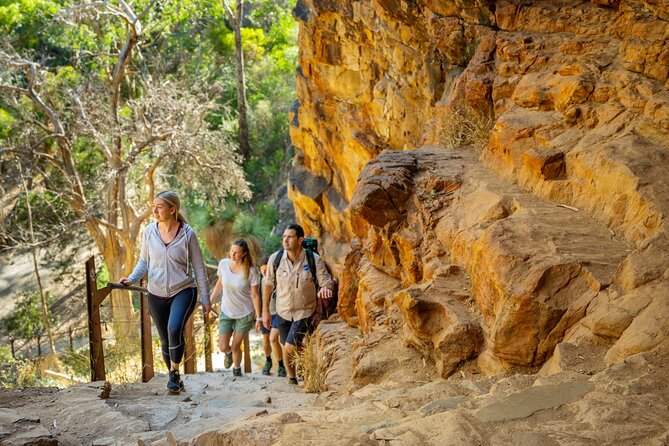 Morialta Wilderness and Wildlife Hike - A fast route from Adelaide to Australian bush
