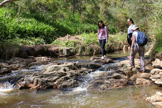 Morialta Wilderness and Wildlife Hike - Weather, seasons, and practical timing