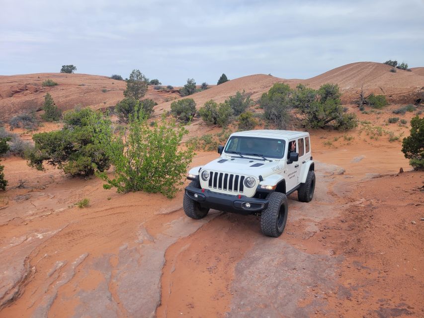 Morning Arches National Park 4x4 Tour - Delicate Arch Viewpoint without the main hike
