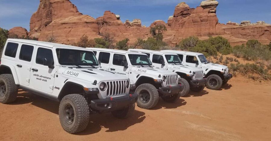 Morning Arches National Park 4x4 Tour - La Sal Mountain views and desert geology