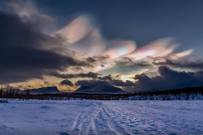 Morning hike in Abisko National Park - Wildlife signs are more likely than wildlife sightings