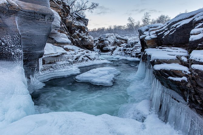 Morning hike in Abisko National Park - Pickup times and a simple morning plan