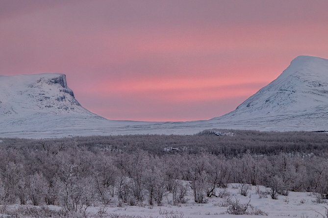 Morning hike in Abisko National Park - Is $91.71 a fair price?