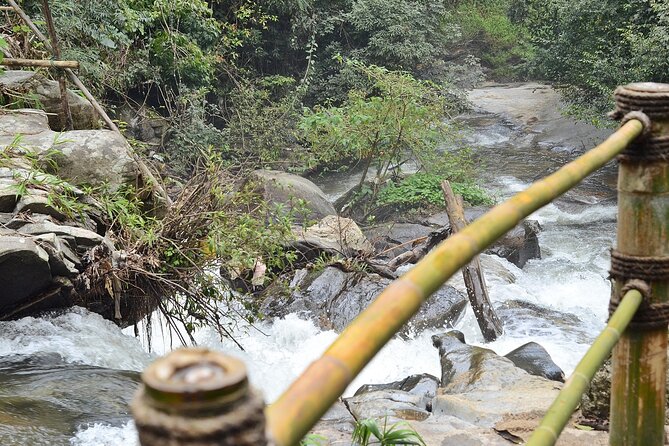 Mount Doi Inthanon National Park Sunrise and Hiking - Pha Dok Seaw, a real forest walk