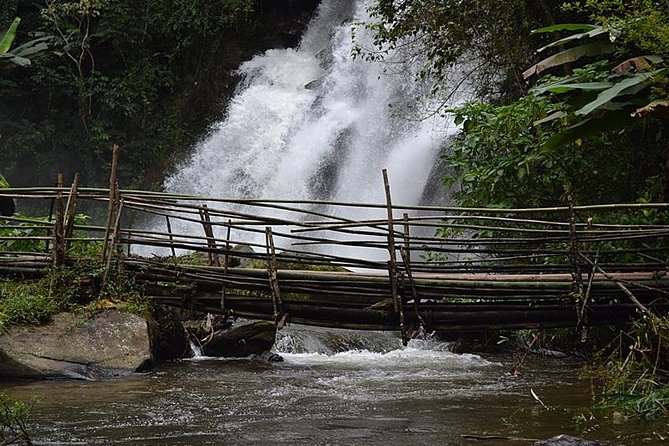 Mount Doi Inthanon National Park Sunrise and Hiking - Coffee in Mae Khlang Luang Village
