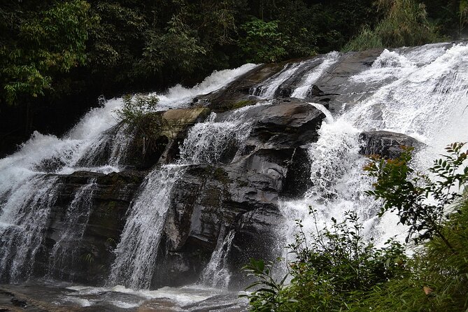 Mount Doi Inthanon National Park Sunrise and Hiking - Private tour, small group, or shared departure?