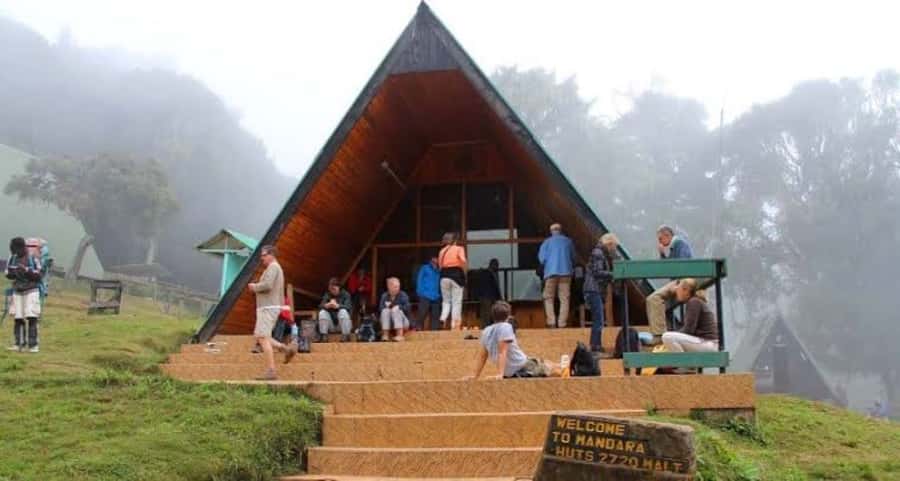 Mount Kilimanjaro National Park Day Trip - Key points at a glance