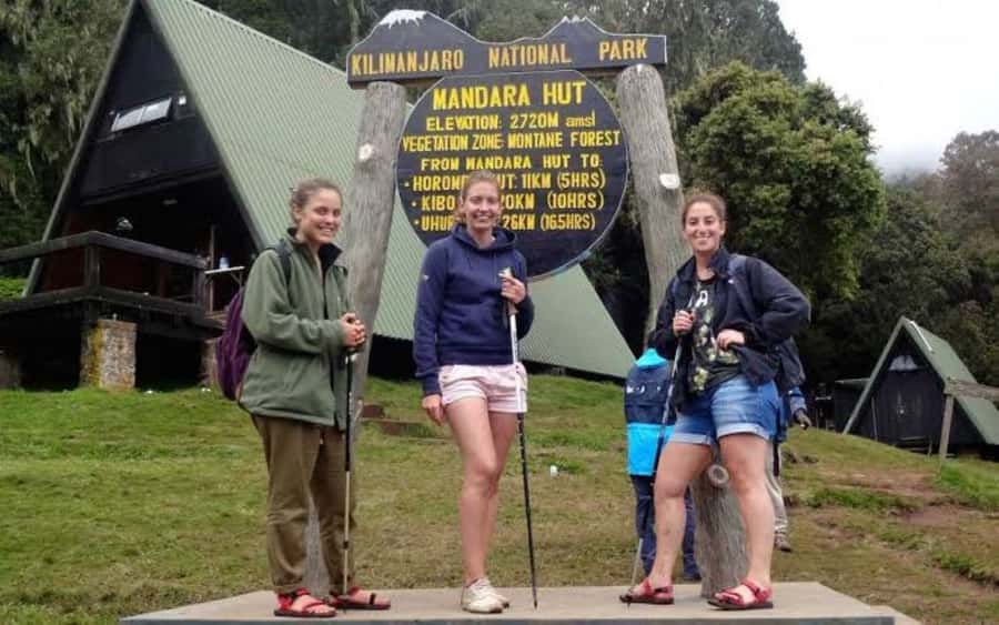 Mount Kilimanjaro National Park Day Trip - What this Kilimanjaro day trip really offers