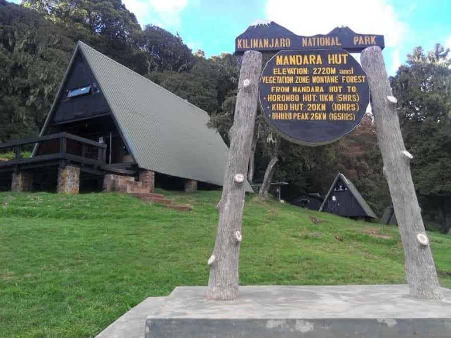 Mount Kilimanjaro National Park Day Trip - Rainforest wildlife and the uphill walk