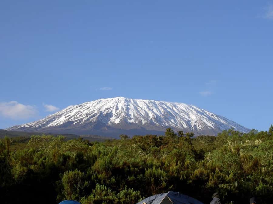 Mount Kilimanjaro National Park Day Trip - The drive to Marangu Gate